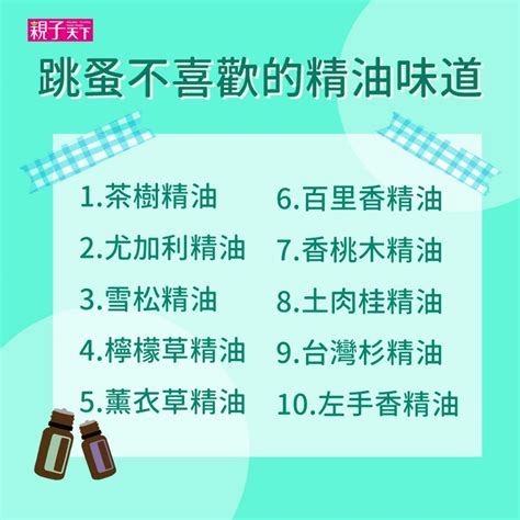 香茅油 跳蚤|跳蚤怕什麼氣味？漂白水可殺死跳蚤？消滅跳蚤方法整。